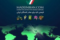 سامانه B2B؛ راهکاری برای عبور از ضعف بازاریابی فرهنگی در صادرات سامانه B2B؛ راهکاری برای عبور از ضعف بازاریابی فرهنگی در صادرات